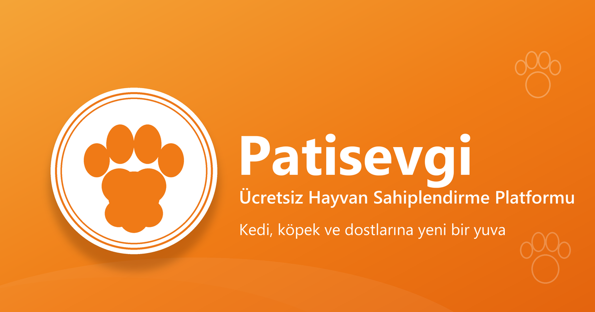 Sahiplendirme Sonrası İlk Ay: Uyum Süreci, Rutinler ve Sık Sorunlar