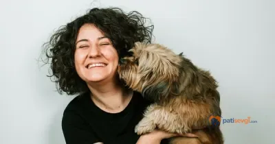Köpek Sahiplendirme: Nereden, Nasıl ve Hangi Adımlarla Yapılır?