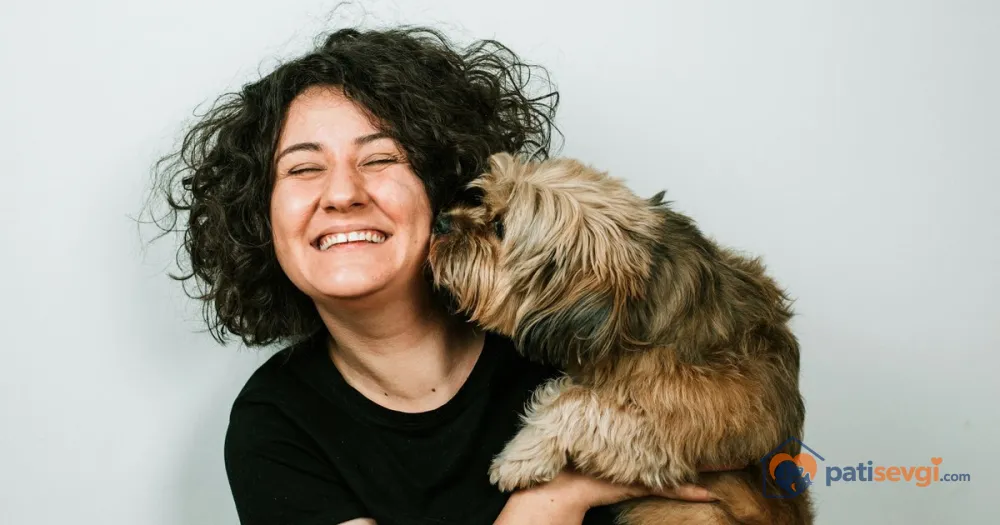 Köpek Sahiplendirme: Nereden, Nasıl ve Hangi Adımlarla Yapılır?