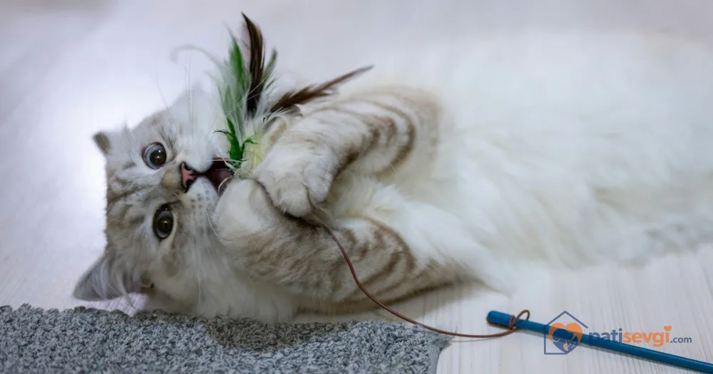 Kedi Oyunları ve Zeka Oyuncakları: Evde Kedinizi Nasıl Oyalarsınız?