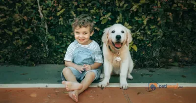 Çocuklu Ailede Hayvan Sahiplenmek: Hangi Hayvan, Hangi Sorumluluk?