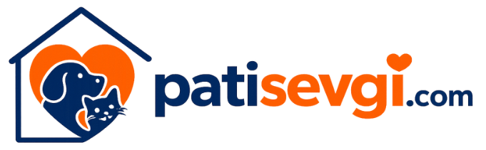 Patisevgi